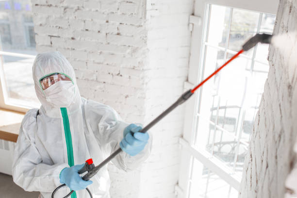 Professional Mold Inspection, Removal & Remediation in Eleanor, WV